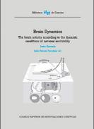 Brain dynamics