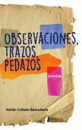 Observaciones, trazos, pedazos
