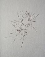 On nous a dit qu'il n'y avait rien et nous sommes all�s le chercher