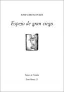 Espejo de gran ciego