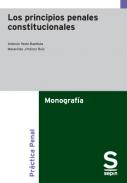 Los principios penales constitucionales