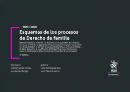 Esquemas de los procesos de Derecho de Familia