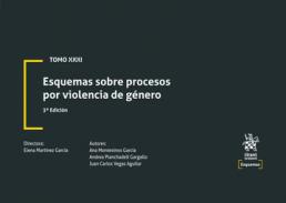 Esquemas sobre procesos por violencia de g�nero