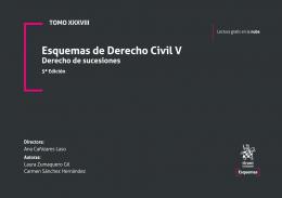 Esquemas de derecho civil, 5