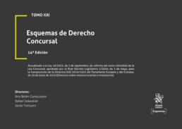 Esquemas de derecho concursal