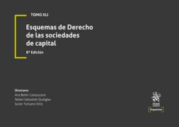 Esquemas de Derecho de las sociedades de capital