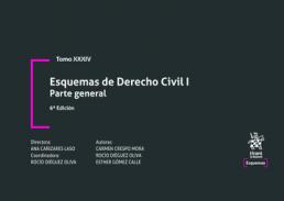 Esquemas de Derecho Civil, 1