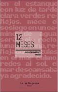 12 meses