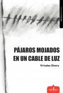 P�jaros mojados en un cable de luz