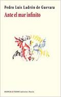 Ante el mar infinito