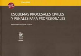 Esquemas procesales civiles y penales para profesionales