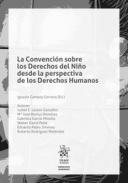 La Convenci�n sobre los Derechos del Ni�o desde la perspectiva de los derechos humanos