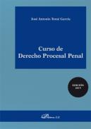 Curso de derecho procesal penal