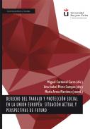 Derecho del trabajo y protecci�n social en la Uni�n Europea