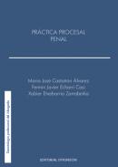 Pr�ctica procesal penal