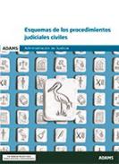 Esquemas de los procedimientos judiciales civiles