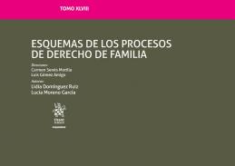 Esquemas de los procesos de derecho de familia