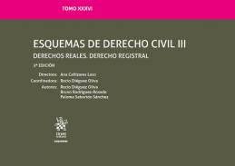 Esquemas de derecho civil, 3