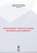Delincuencia y justicia juvenil en Espa�a