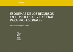 Esquemas de los recursos en el proceso civil y penal para profesionales