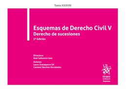 Esquemas de Derecho civil, 5