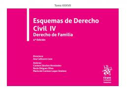 Esquemas de Derecho civil, 4