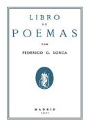 Libro de poemas