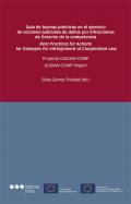 Gu�a de buenas pr�cticas en el ejercicio de acciones judiciales de da�os por infracciones de derecho de la competencia