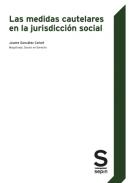 Las medidas cautelares en la jurisdicci�n social