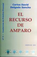 El recurso de amparo 