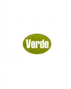 El libro verde de las incapacidades laborales