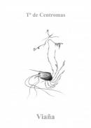 Teor�a de centromas