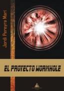 El proyecto Wormhole