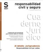 Responsabilidad civil por ca�das