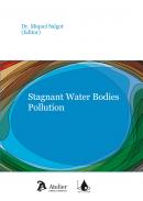 Stagnat water bodies pollution