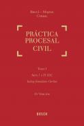 xxxPr&aacute;ctica procesal civil
