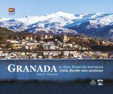 Granada vista desde sus azoteas