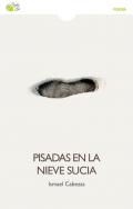 Pisadas en la nieve sucia