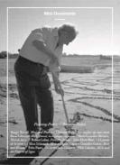 Painting-Poetry/Peinture-Po�sie