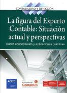 La figura del experto contable: situaci�n actual y perspectivas