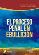 El proceso penal en ebullici�n