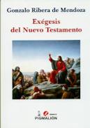 Ex�gesis del Nuevo Testamento