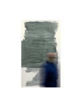 Caminando sobre la tierra entre �rboles y piedras