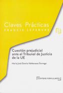Cuesti�n prejudicial ante el Tribunal de Justicia de la EU