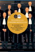 Desarrollos jurisprudenciales
