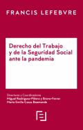 Derecho del trabajo y de la Seguridad Social ante la pandemia