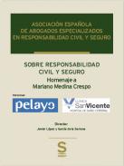 Responsabilidad civil y Seguro