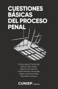 Cuestiones b�sicas del proceso penal