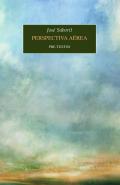Perspectiva a�rea