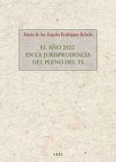 El a�o 2022 en la jurisprudencia del pleno del tribunal supremo